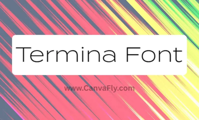Termina Font